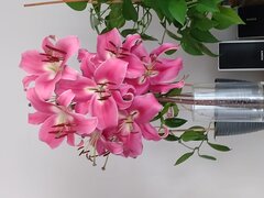 IMG_20250802_141147004.jpg