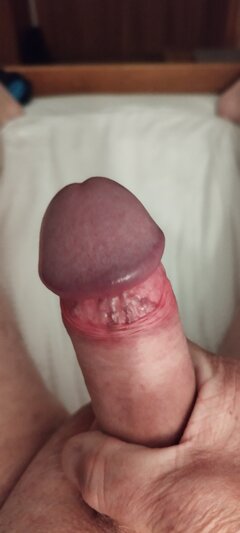 IMG_20251017_203723.jpg
