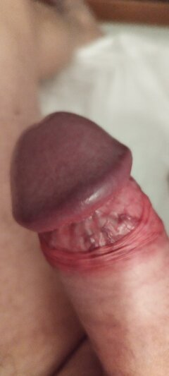 IMG_20251017_203750.jpg