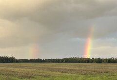 IMG_9878.jpeg