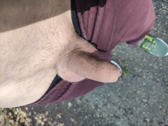 IMG_20251019_141737.jpg