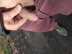 IMG_20251019_142022.jpg