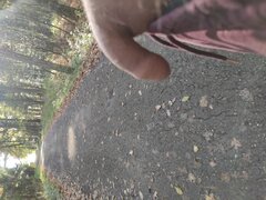 IMG_20251019_142007.jpg