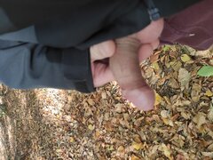 IMG_20251019_140550.jpg