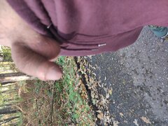 IMG_20251019_141745.jpg