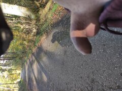 IMG_20251019_141726.jpg