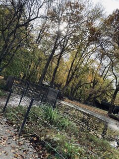 IMG_7996.jpeg