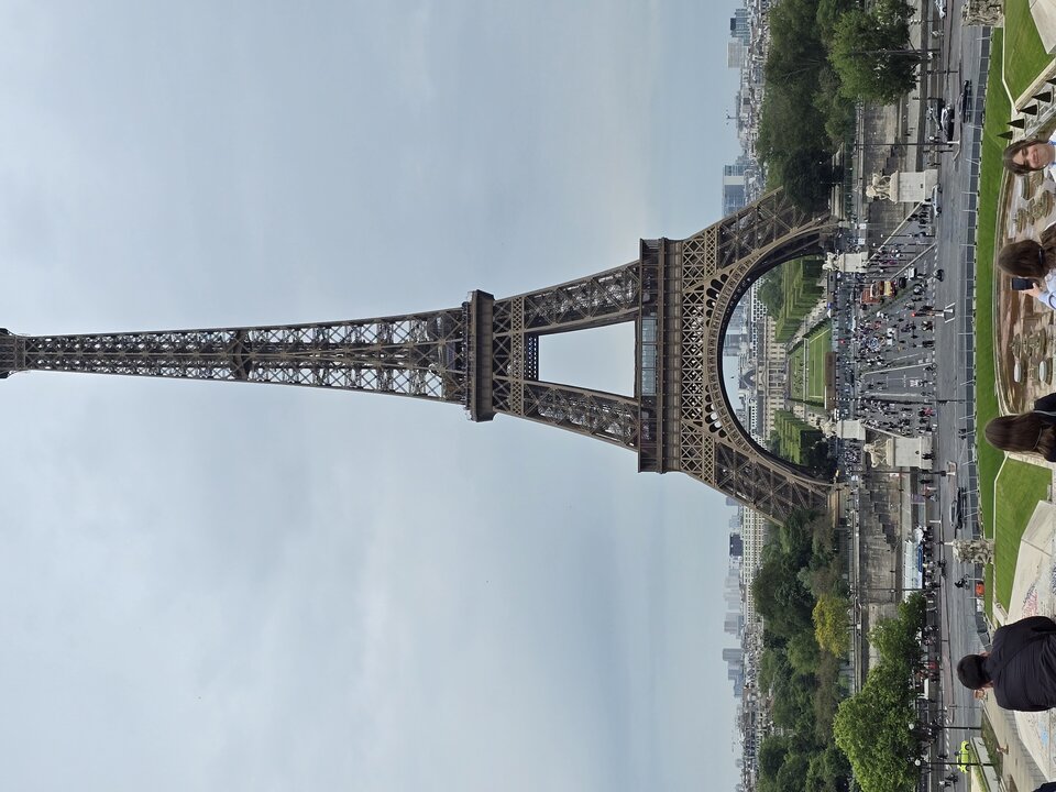 20250521_182653.jpg - jelenkrzysiek