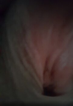 IMG_0359.jpeg