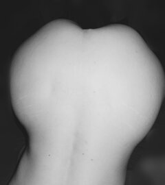 1000002268.jpg
