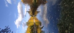 IMG_20251025_153246.jpg