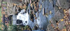 IMG_20251025_145443.jpg
