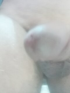 IMG_20251026_084737.jpg