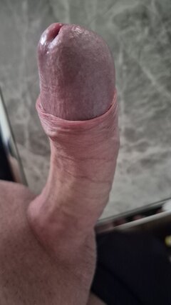 IMG-20251026-WA0018.jpeg