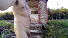 SIEMONIA - ruiny w lesie 20251023.mp4_snapshot_01.41_[2025.10.26