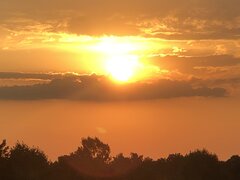 IMG_9276.JPG