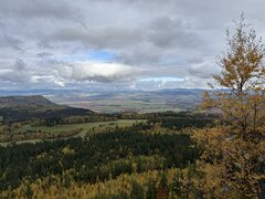 IMG_5008.jpeg