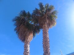 IMG_20251027_123301_547.jpg