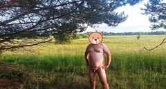 IMG.jpg