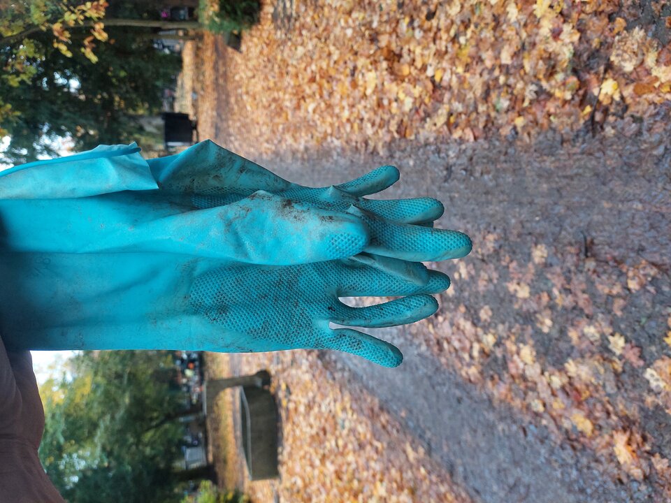 20251027_130121.jpg - Rubber_gloves