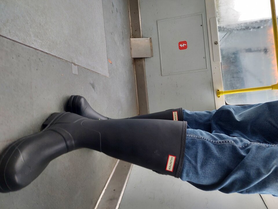 20251027_144004.jpg - Rubber_gloves
