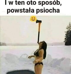 1000026074.jpg