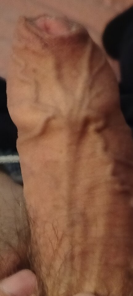 1000003321.jpg - XMiko77