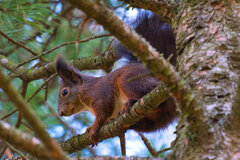 DSCF3349.jpg