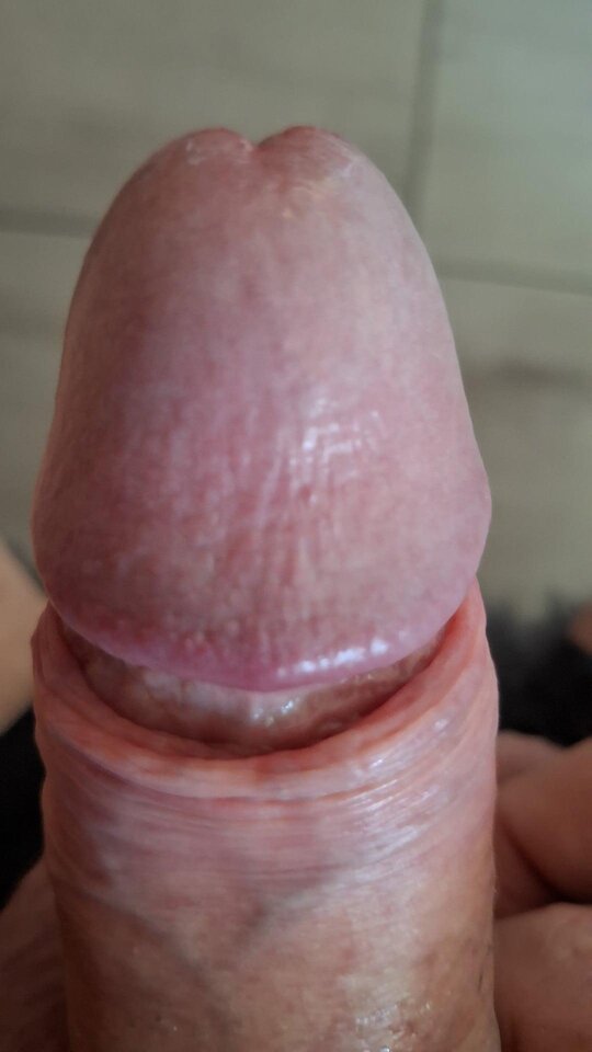 1000009441.jpg - mar_nn40