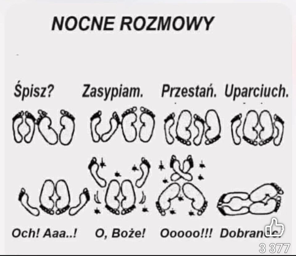 1000016208.jpg - wrednami73