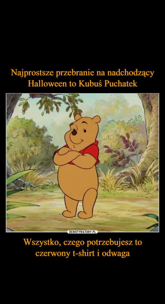 Dzikusek1990