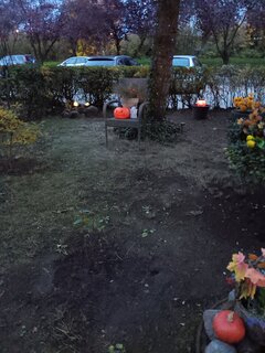 20251031_165223.jpg