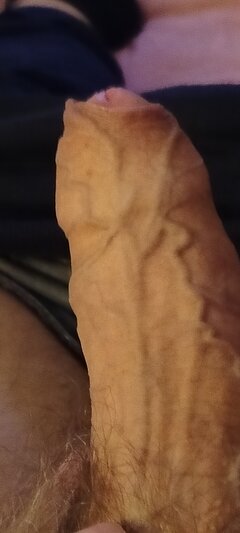 1000003335.jpg