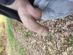 IMG_20251101_152502.jpg