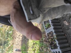 IMG_20251101_134919.jpg