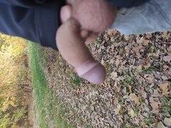 IMG_20251101_152355.jpg