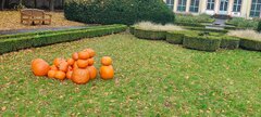 IMG_20251102_091848.jpg