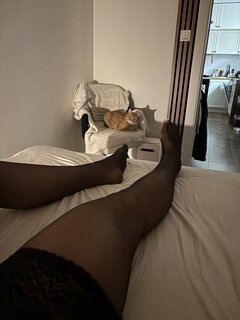IMG_2601.jpeg