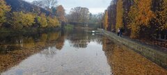IMG_20251102_104419.jpg
