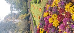 IMG_20251102_102333.jpg