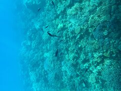 IMG_3704.jpeg