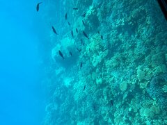 IMG_3703.jpeg