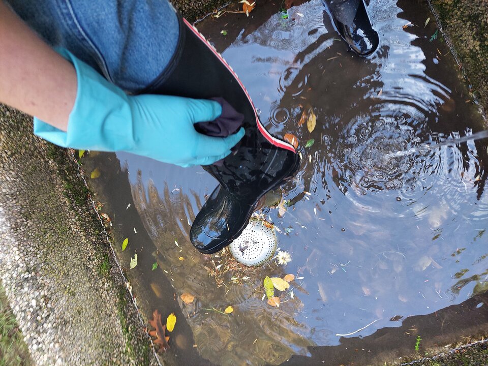 20251031_130544.jpg - Rubber_gloves