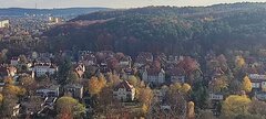 IMG_20251103_134522.jpg