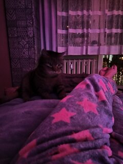 IMG_20251104_201329871.jpg