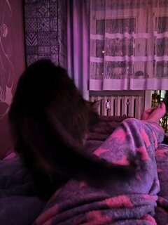 IMG_20251104_201133991.jpg