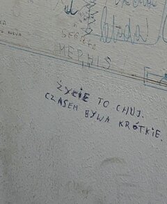 1000025607.jpg