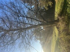 IMG_9798.jpeg