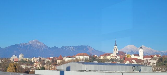 Paniwdelegacji
