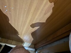 IMG_5425.jpeg